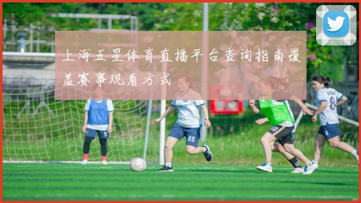 上海五星体育直播平台查询指南覆盖赛事观看方式